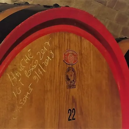 Casone In The Old Winery Polverigi