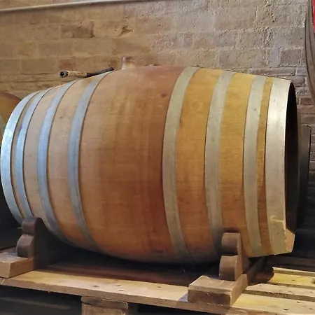 Casone In The Old Winery Σπίτι διακοπών Polverigi